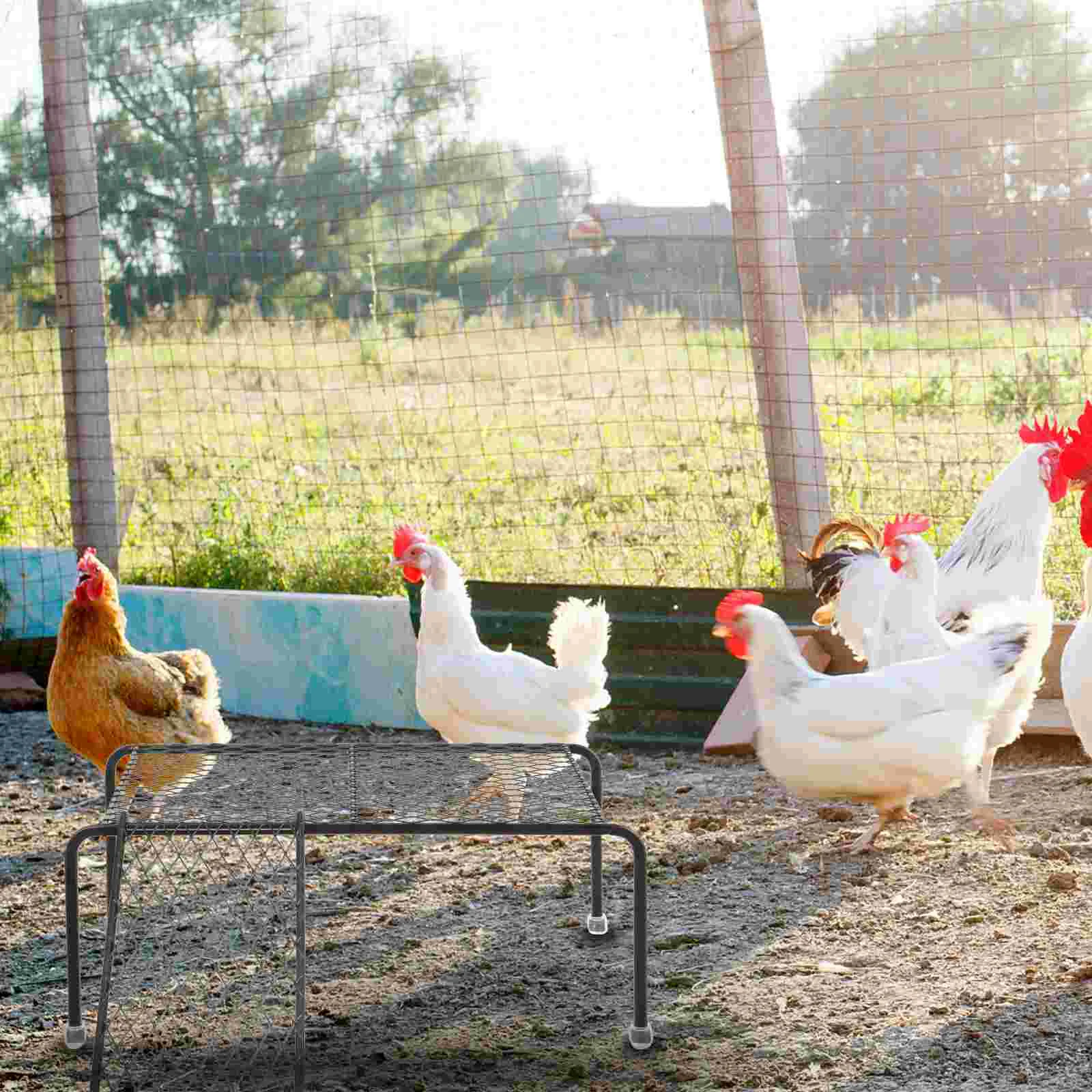 Chicken Coop Platform Pet Feeding Rack Ladder Cage Rutin Toy Baby Roosting Perch