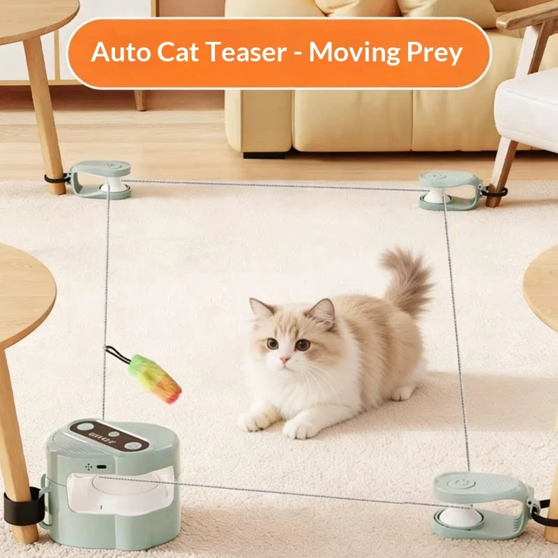 

Автоматическая электрическая игрушка для кошек: интерактивная веревочная трасса со звуком птиц для самостоятельных игр в помещении для взрослых домашних кошек