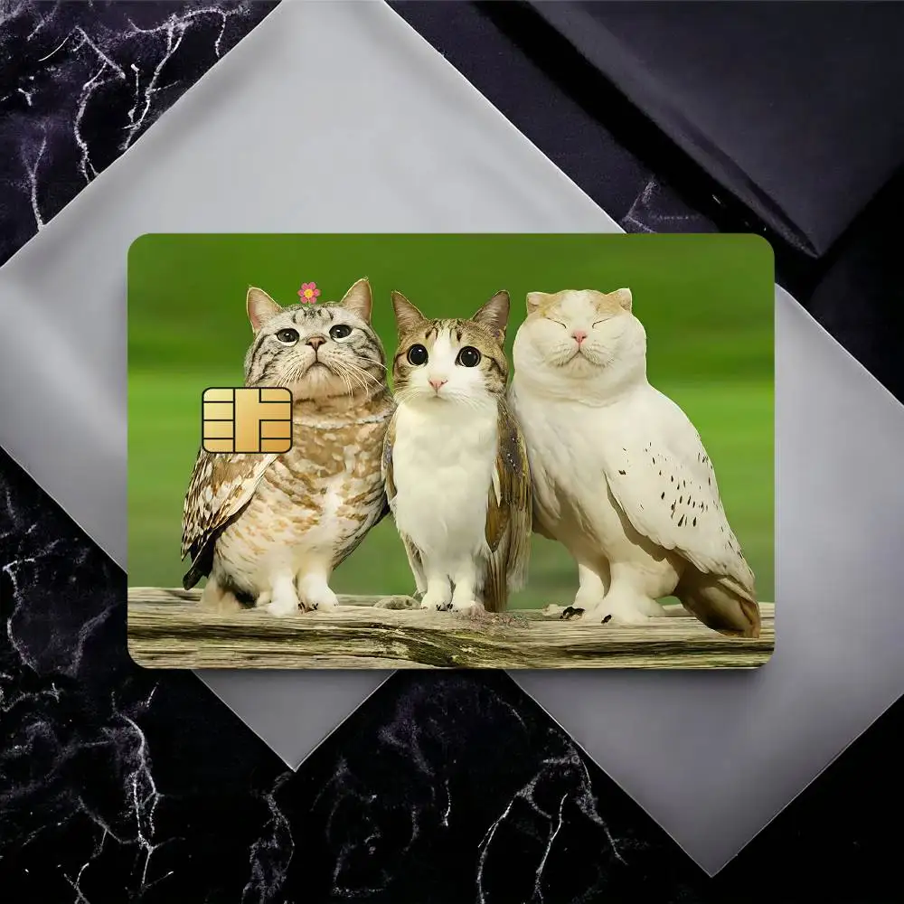 Funny Owl Cat cute Bank Credit Cards Bus Pass Stickers Cool Decoration Waterproof 4PCS Card