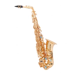 

Starway Carving Eb Key Brass Alto Saxophone Music Instrument For Student And Professional Performer