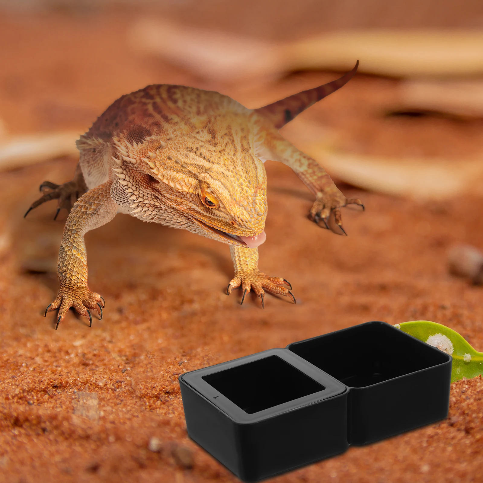 

Reptile Food Water Basin 2in1 Gecko Bearded Black Tank Terrarium Dishes Worm Feeder Pet Supplies Accessories lizard