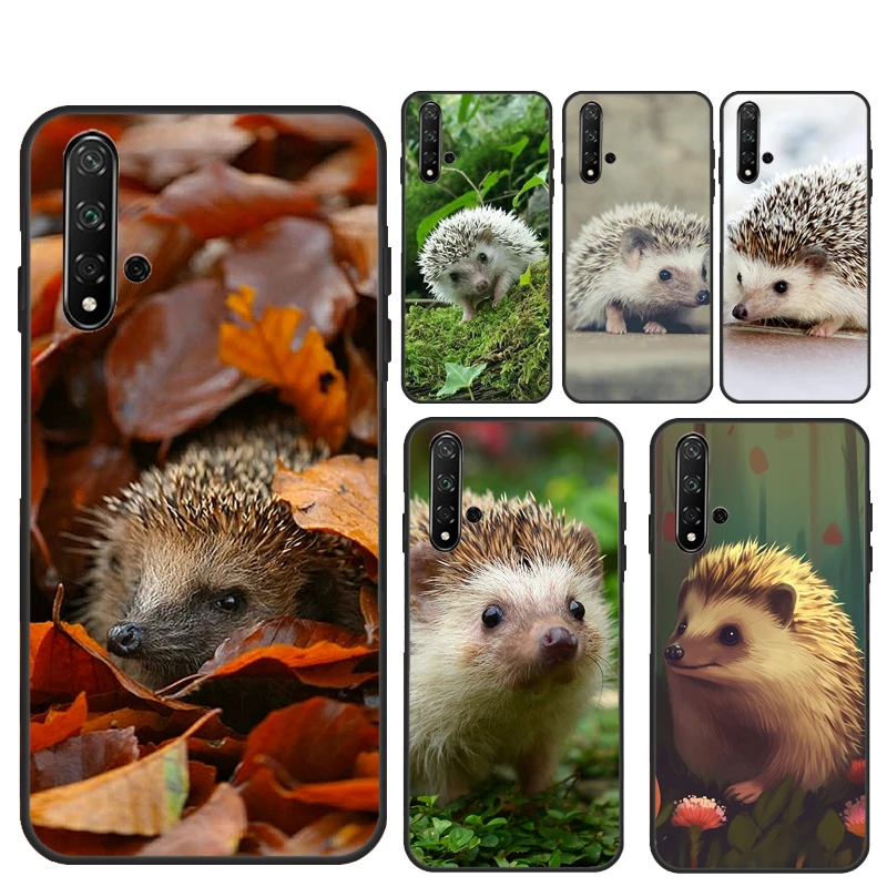 Cute Little Hedgeho… - image