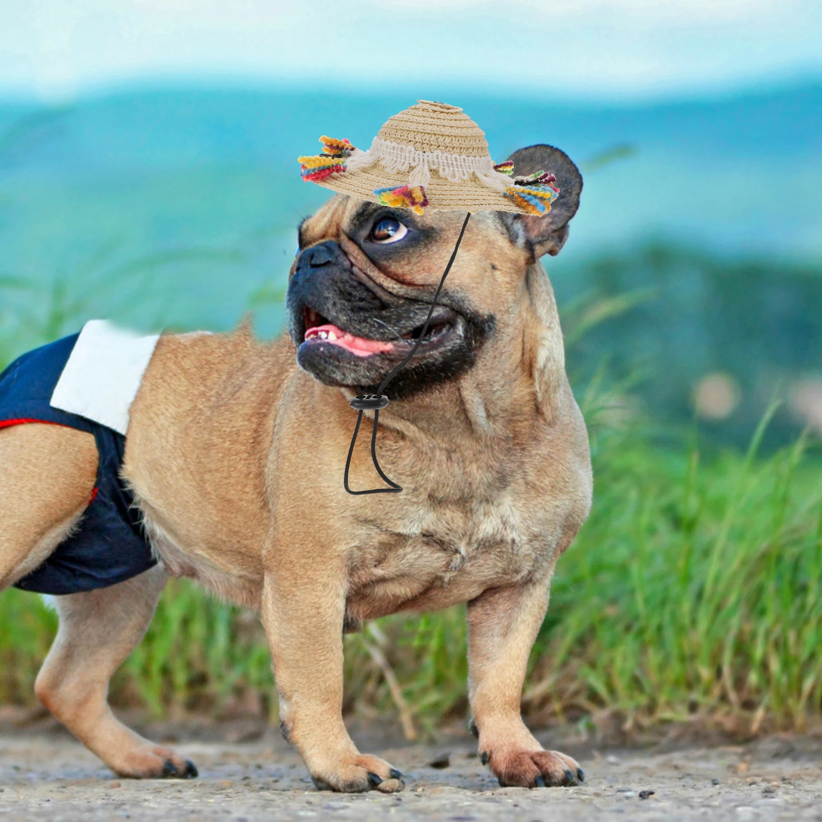 

Pet Straw with Tassel for Dog Cat Costume Decoration Birthday Puppy Small Hats Dog Party Hat Pet Straw Woven Hat