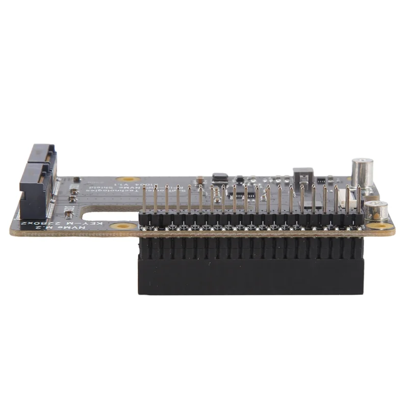 A19E-X1004 Per Raspberry Pi 5 PCIE A M.2 NVME Scheda di espansione doppia SSD Doppio 2280 NON supporta BOOT da NVME SSD