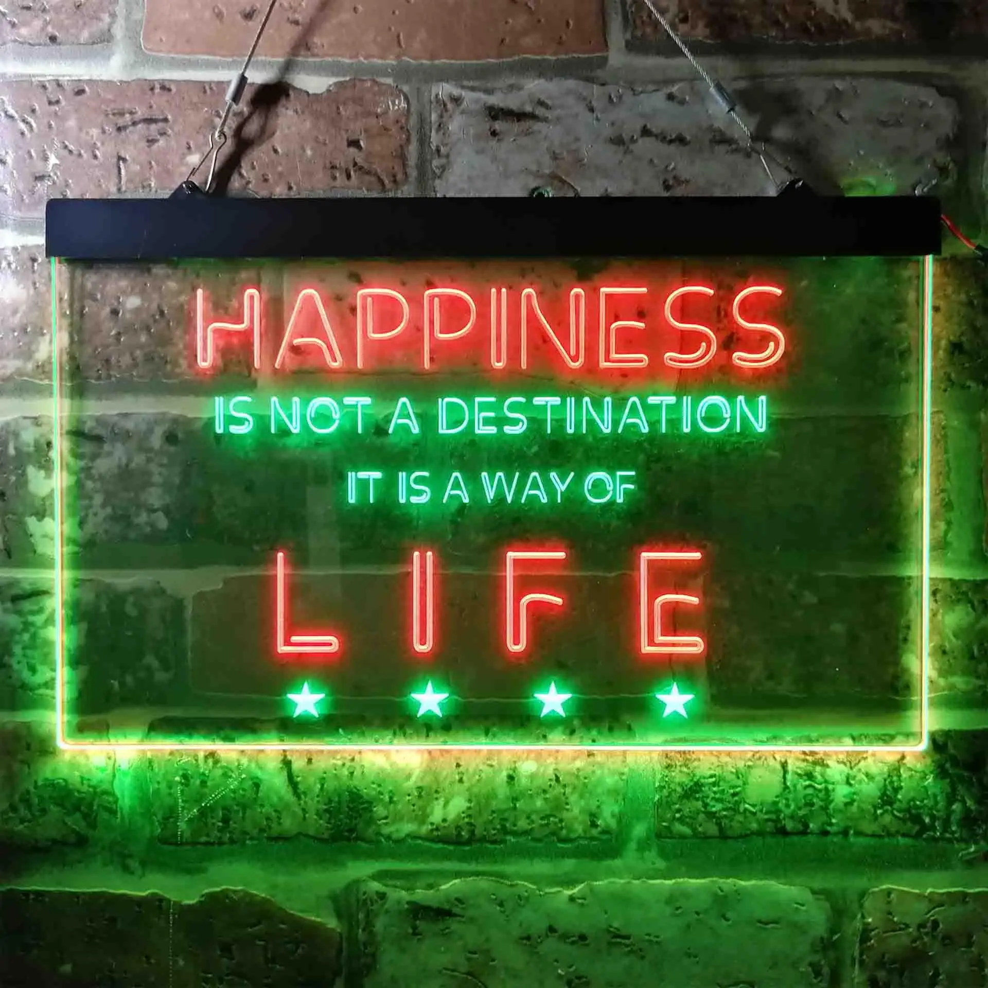 

Happiness is a Way of Life Dual Color Led Neon Sign st6-i3632