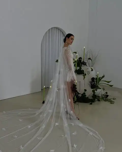 Luxury FeatherLace Short Formal Dresses With Sparkle Beaded Pretty Full Sleeves Mini Bridal Dress Without Veil