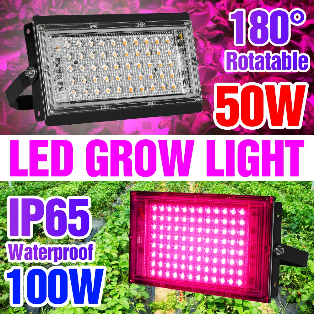 

LED Phyto Grow Lamp 220V Phytolamp For Plants Full Spectrum Plant Flood Light 50W 100W LED Hydroponic Plants Seedlings Lighting