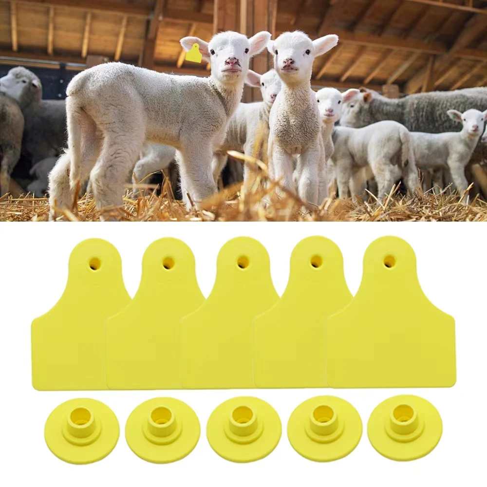 20 Pcs 40*50mm Goats Sheep Cattle Cows Pigs Blank Ear Tags Livestock Identification TPU Precision Eear Label Farm Animal Marker
