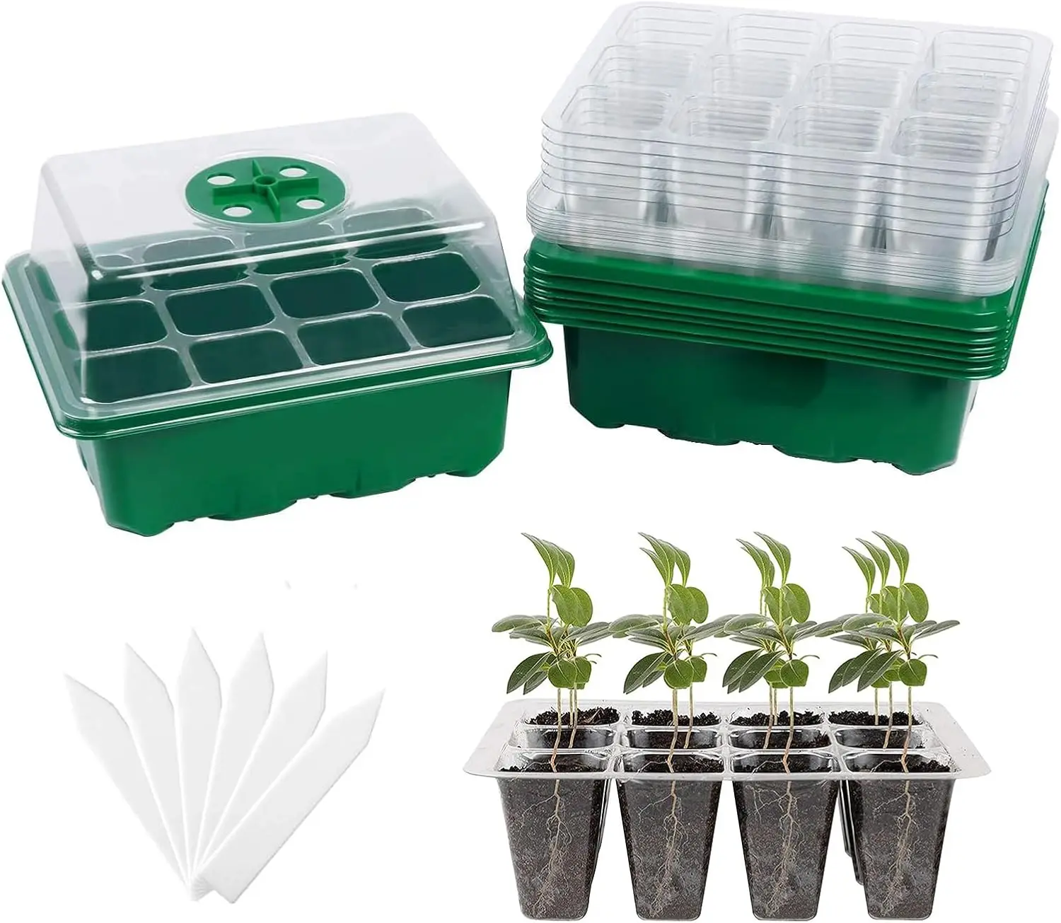 6-Pack Seed Starter Tray with Humidity Dome, 72 Cells Plant Germination Kit