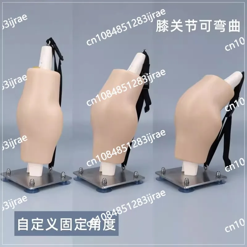 Human Knee Joint Simulation Training Exercise Model Teaching Training 30 Degree Adjustable Focus Arthroscopy