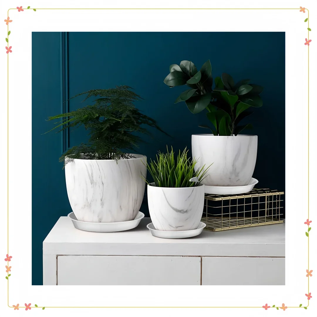 

White 8 Inch Plant Saucers 6-Pack - Durable Pot Trays for Indoor Outdoor Potted Plants, Garden Decor & Home Use