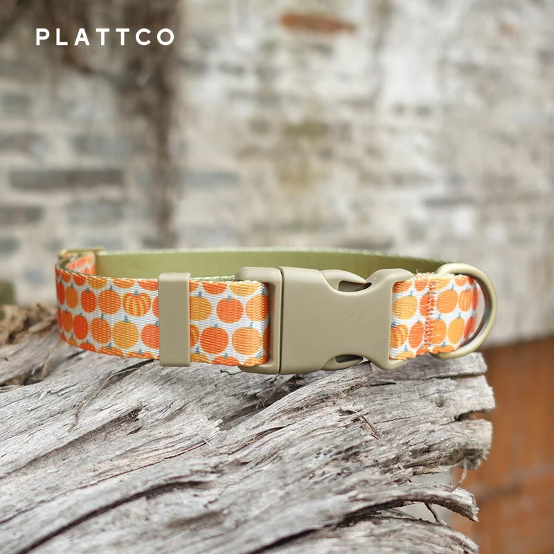 PLATTCO Personalized Orange Pumpkin Dog Collar and Leash Set Training Large Small Pet Leash Nylon Tough Harvest Pumpkin PDC367