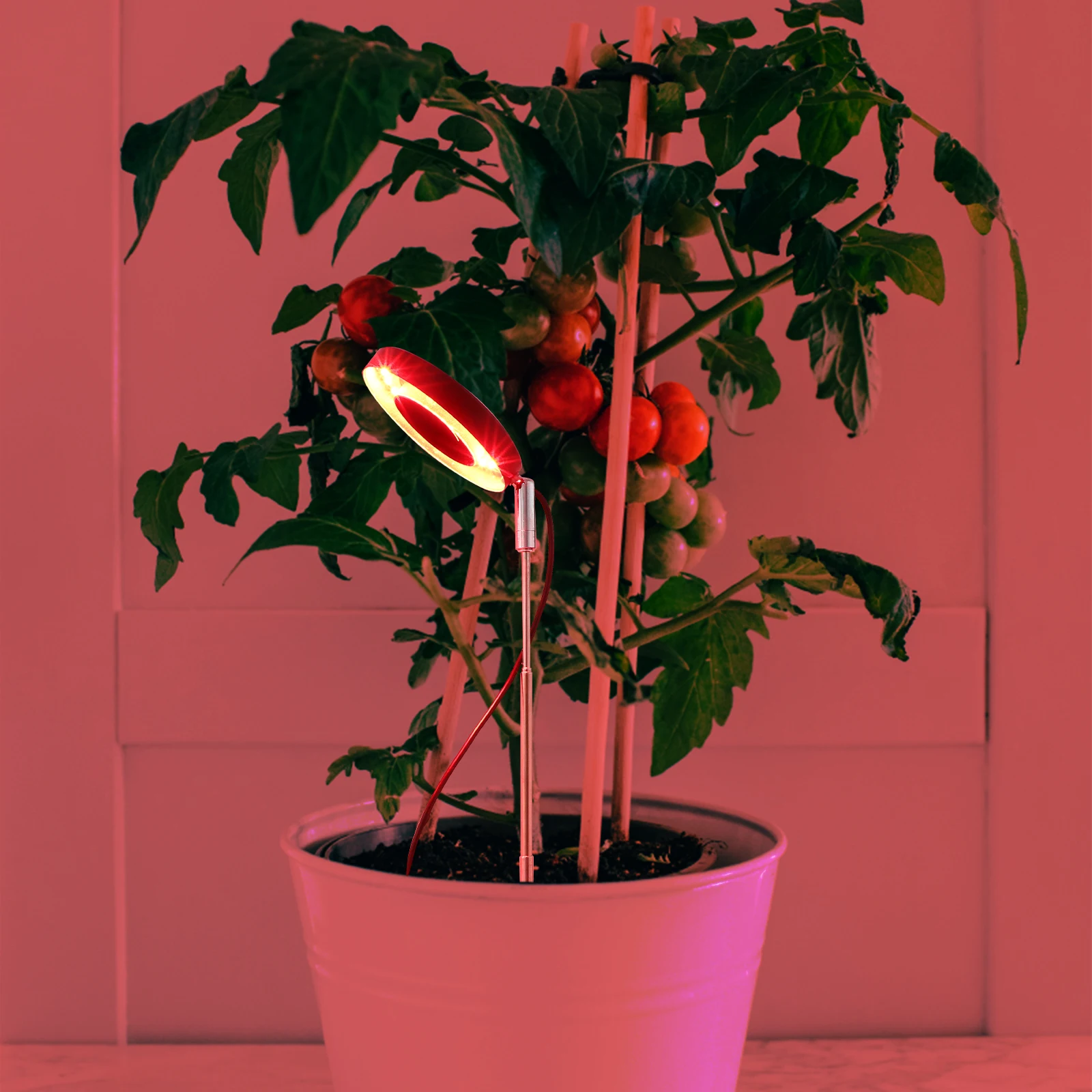 

LED Plant Led Plant Lamp Full Red Blue for Indoor Grow Light For Indoor Plants Plants Flowerpot Stable Aluminum