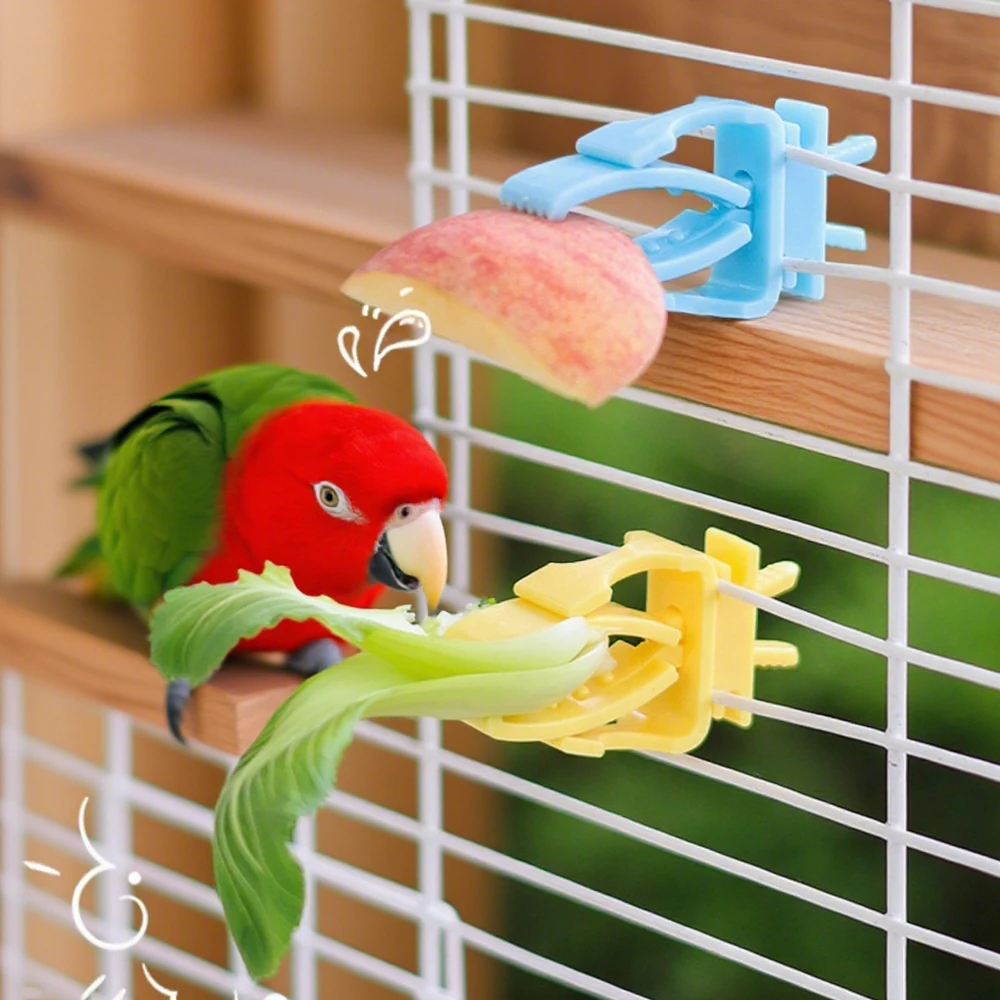 Juego de 2/4 Uds. De soportes de comida para pájaros y mascotas, Clip para loros, frutas y verduras, dispositivo alimentador de huesos para sepia, accesorios para jaulas de pájaros y loros