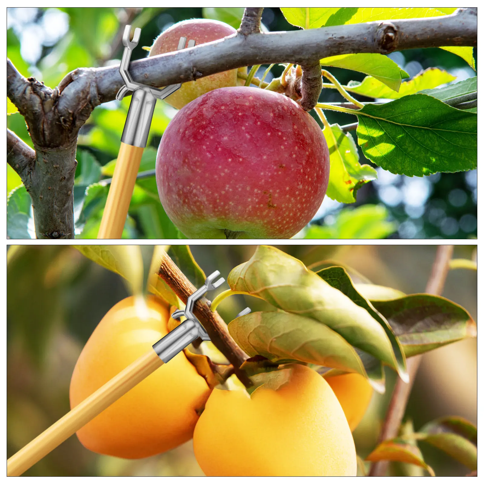 6Pcs Fruit Tree Branch Supports Aluminium Alloy Brace Kit for Young Trees Orchard Vineyard Garden Protection