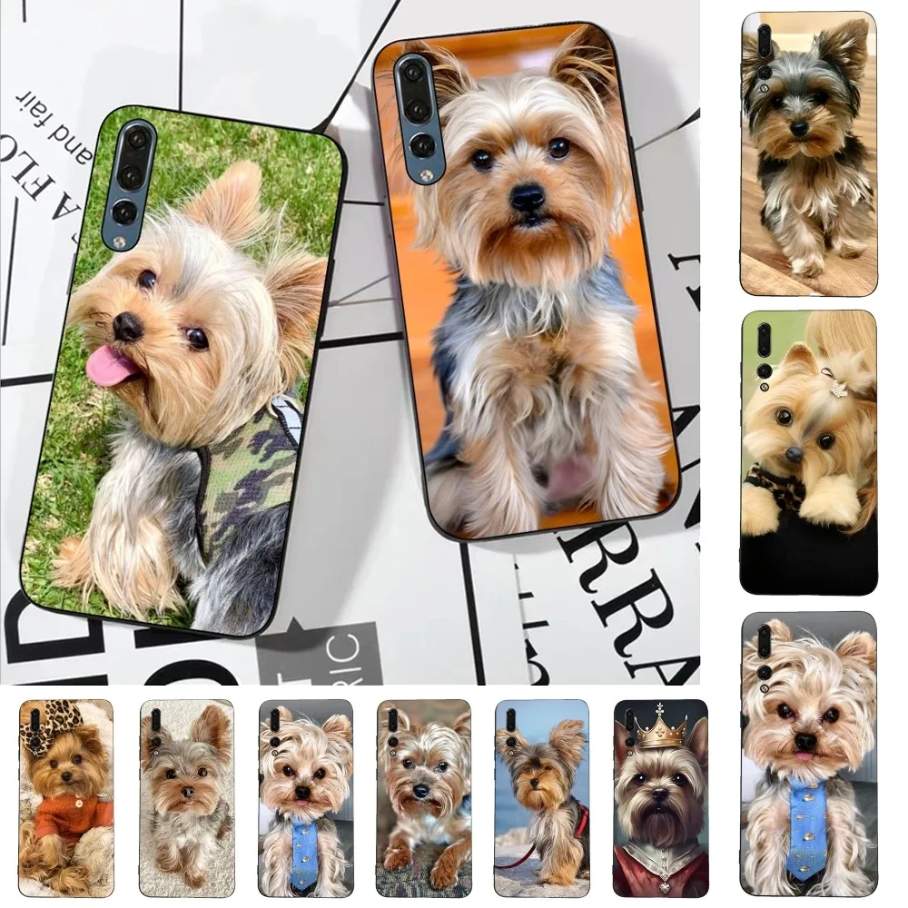 York Shire Terrier Dog Phone Case For Huawei P 8 9 10 20 30 40 50 Pro Lite Psmart Honor 10 Lite 70 Mate 20lite