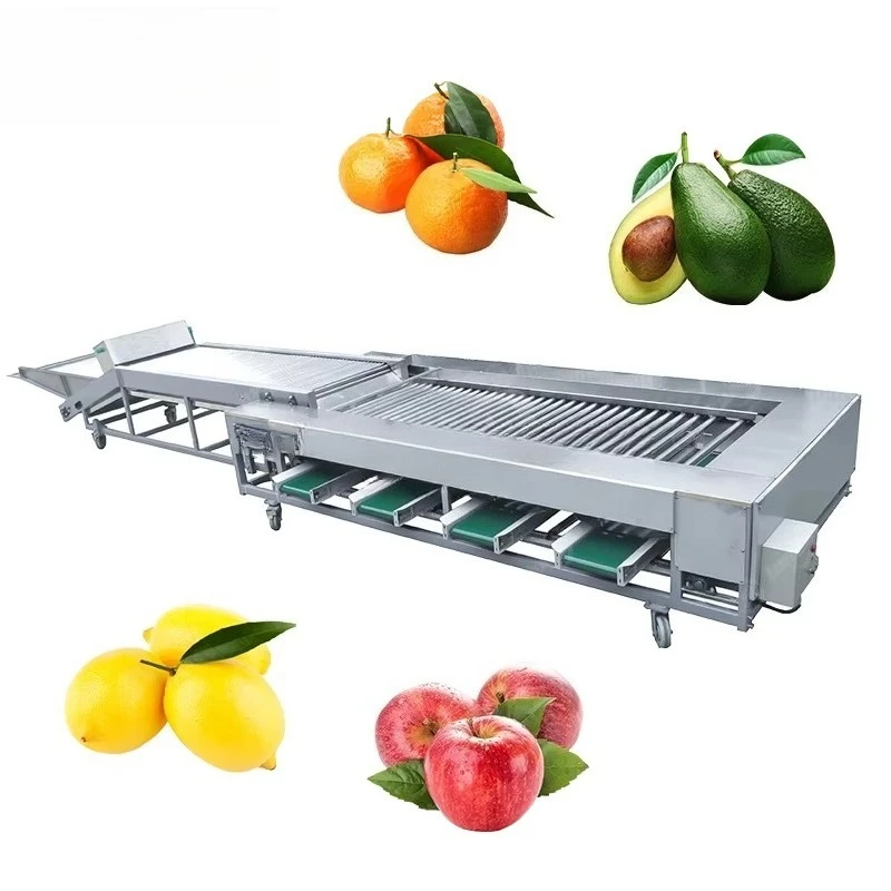 Industrial Avocado Orange Automatic Roller Sizer Fruit Vegetable Grading Equipment Lemon Avocado Sorting Machine view 2