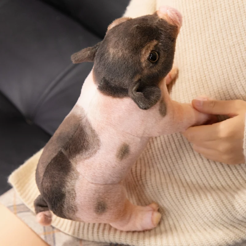 28cm Simulation Bird Piggy Pig Wild Animal Plush Toy Like Real Stuffed Plushie Home Decor Men Gift