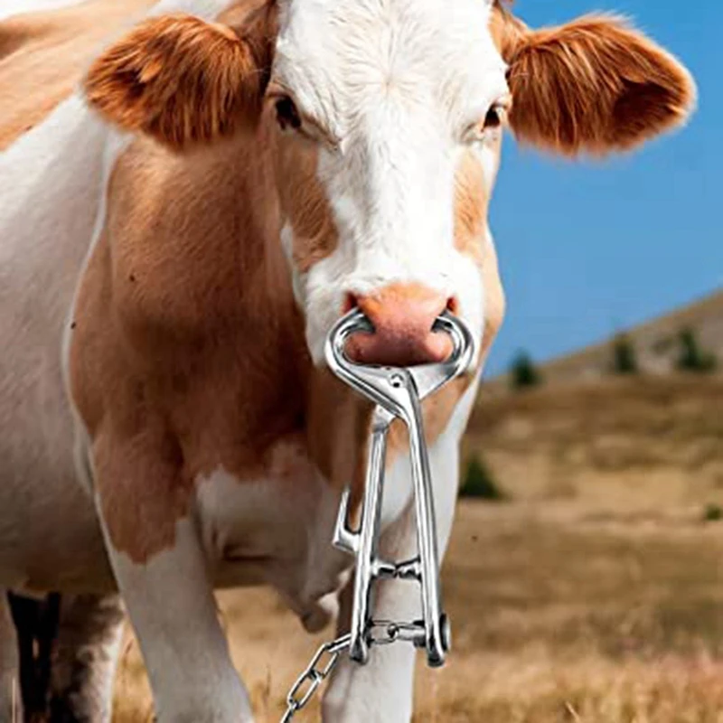 Strumento per bestiame da fattoria in acciaio inossidabile Pinze per anelli al naso di mucca Pinze per bovini di toro con strumento per tirare la catena