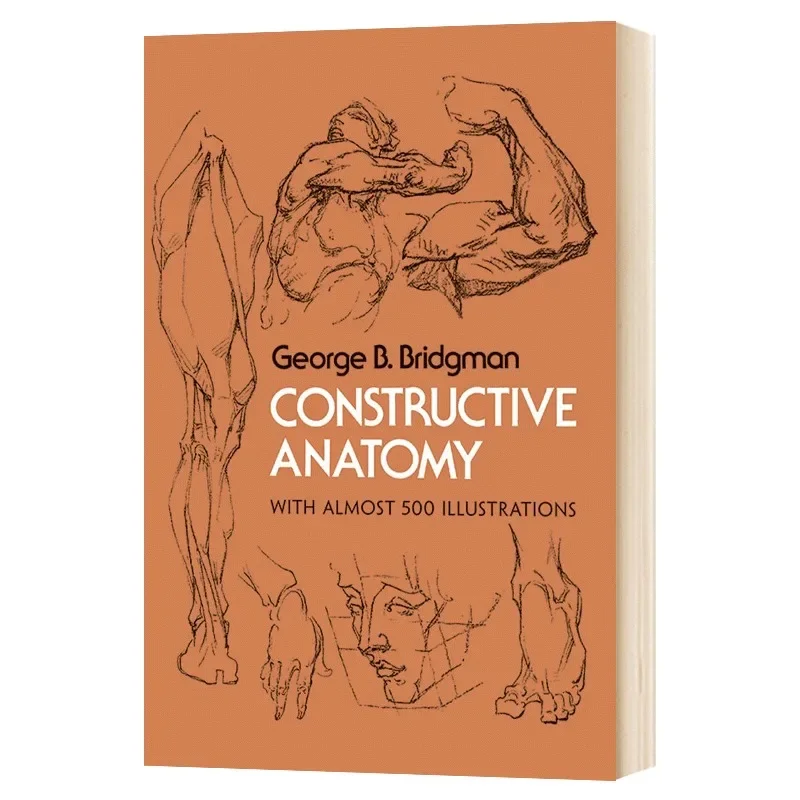 Constructive Anatomy Drawing Tutorial George B. Bridgman English Edition Figure Sketch Human Anatomy Movement Muscle Beginner