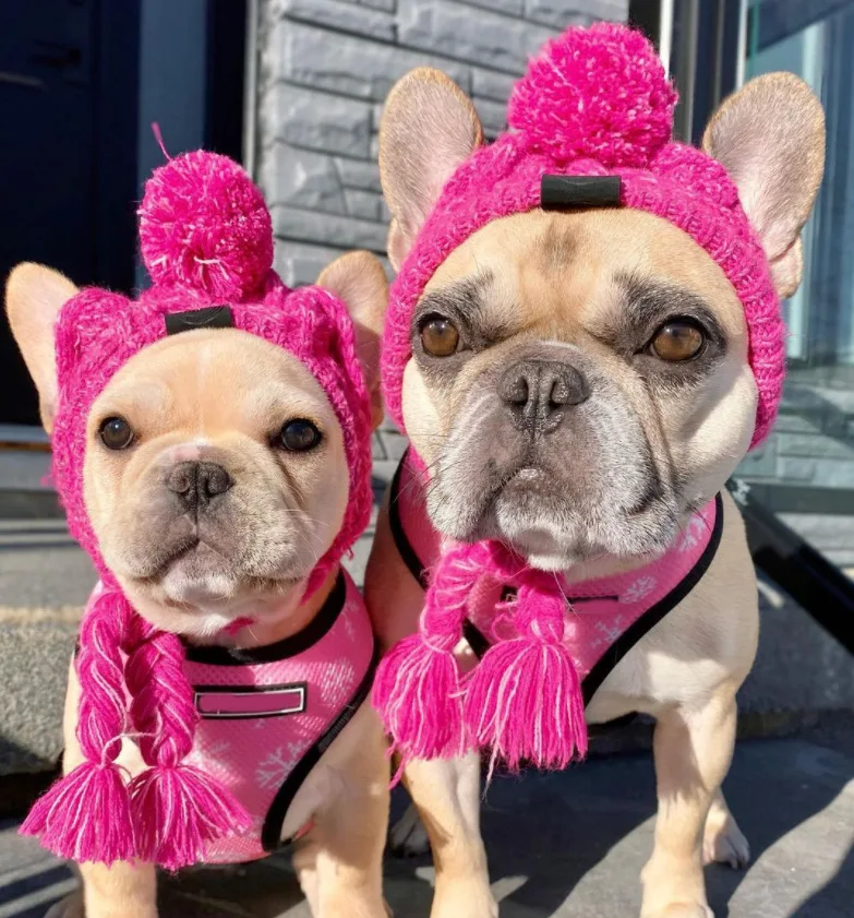 

Dog Hat for Bulldog Golden Retriever Border Collie Pom Pom Hat Dog Beanie Knitted Warm Dog Caps for Small Medium Large Dogs