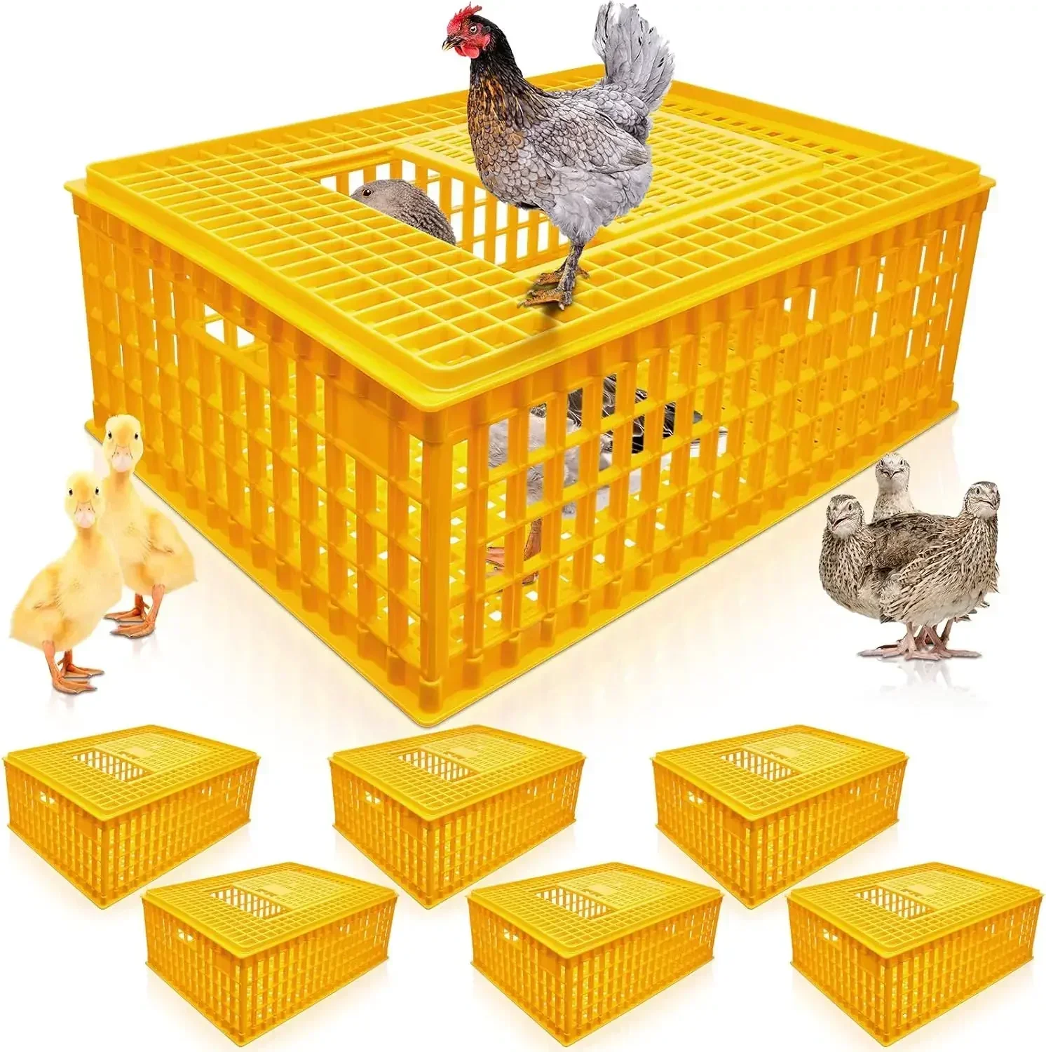 

Poultry Carrier Crate Plastic Chicken Transport Cage Bird Carriers Chickens Carrier Travel Crate Basket Box for Poultry Chicken