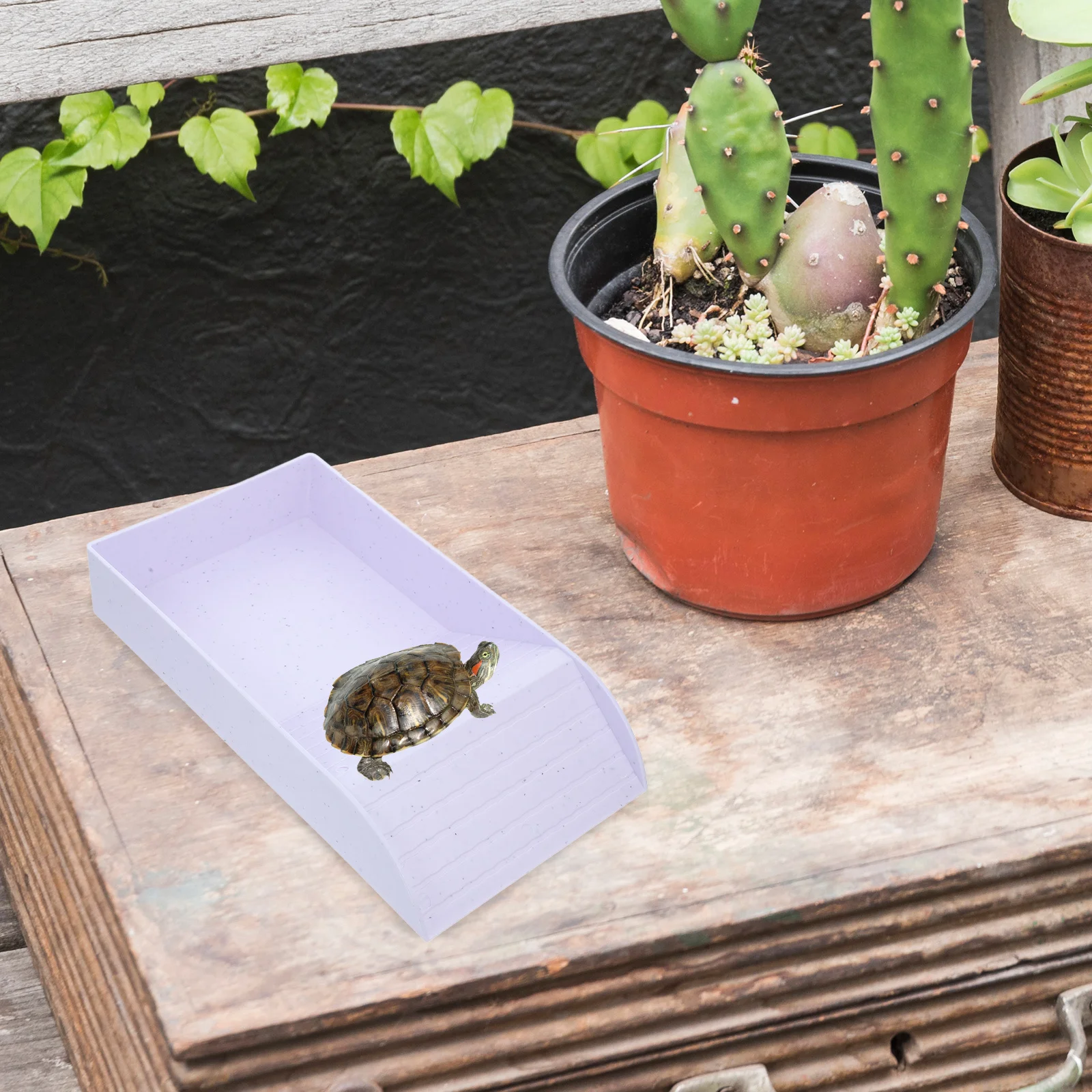 

Plastic Turtle Bathing Pool Climbing Ramp Reptile Water Feeder Feeding Bowl Basking Platform Tortoise Lizard Frog Gecko Tank