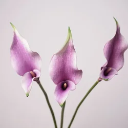 5pcs PU Alocasia Calla Lily Artificial Flowers Diy Wedding Decor Bride Holding Bouquet Calla Home Party Design Business Floral