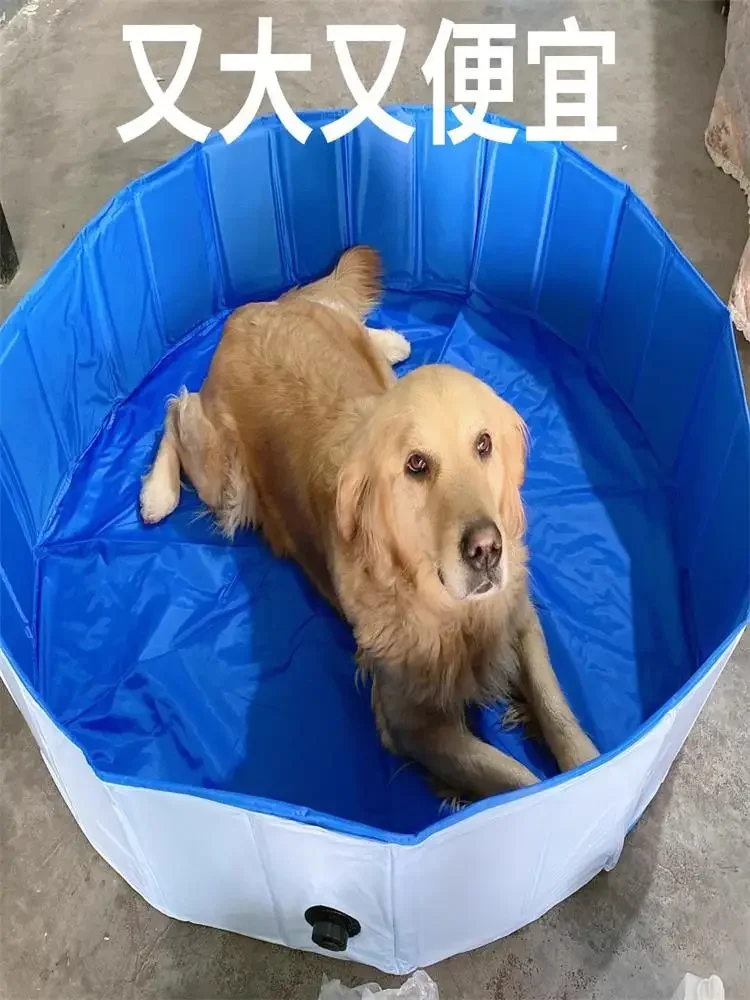 

Pet bath, large dog, golden retriever, dog specific swimming pool bathtub, bath tub, cat bath tub