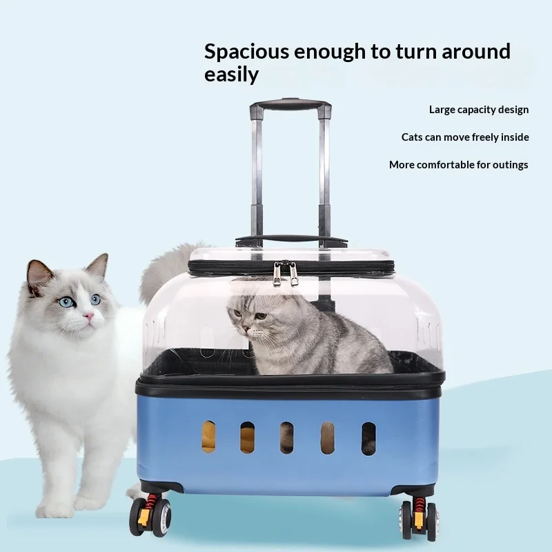 Transportín transparente con ruedas para gatos y perros, maleta viaje