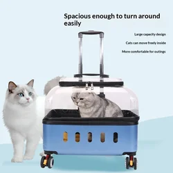 Transportín transparente con ruedas para gatos y perros, maleta viaje