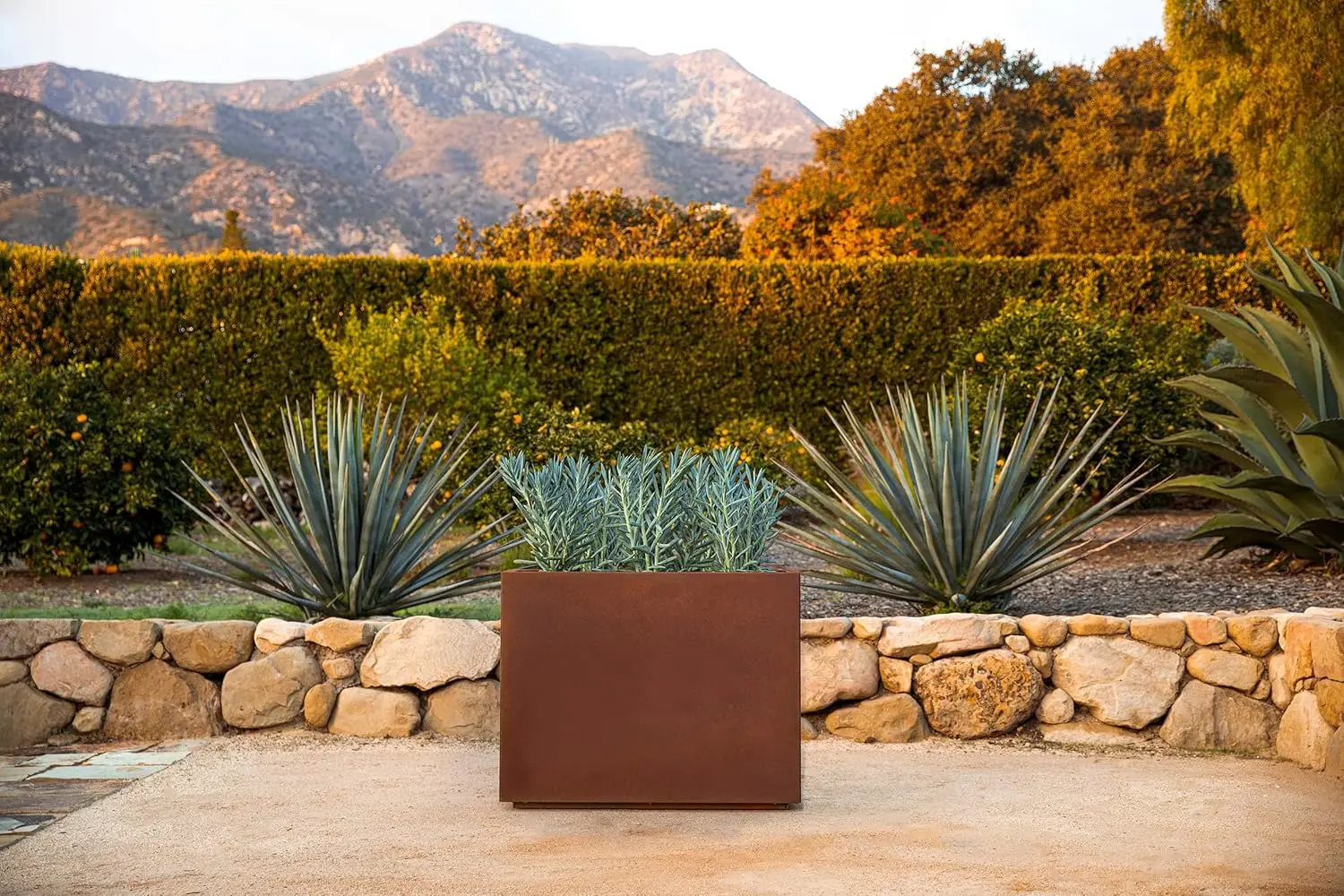 Corten Steel Series Span Planter - Tall Rectangular Metal Planter for Outdoor Porch/Patio | Naturally Rusting Steel