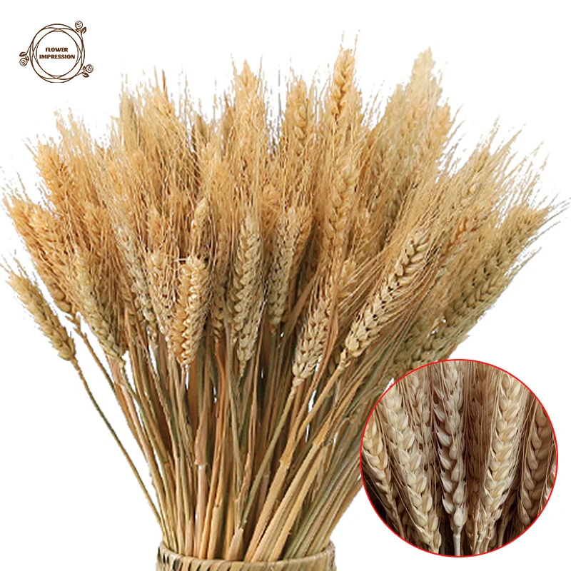 

100pcs Wheat Ears Dried Flower Bouquet Decor Home Wedding Party Decoration Tables Decor Accessories Natural Preserved Plants