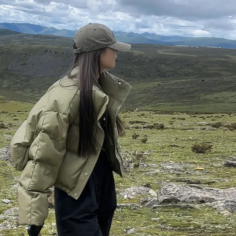 Chaqueta de algodón de PU para mujer, chaquetas de cuero de pan pequeños gruesos con cuello levantado, estilo corto, invierno 2024