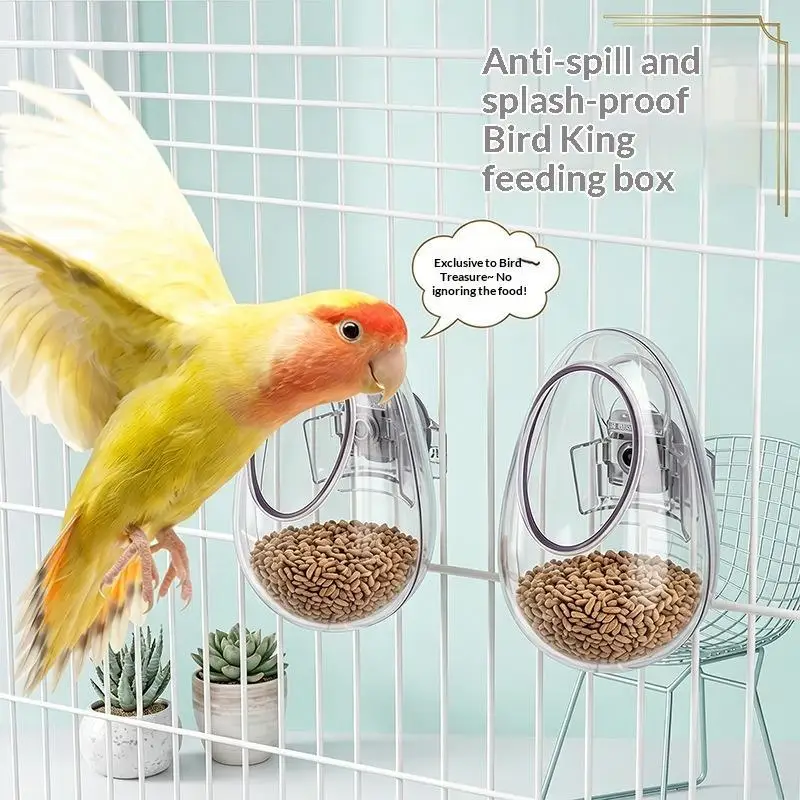 1PcsWall Hanging Bird Food Cup Anti Splashing Transparent Bird Feeding Bowl Detachable Plastic Parrot Feeder Drinker view 5