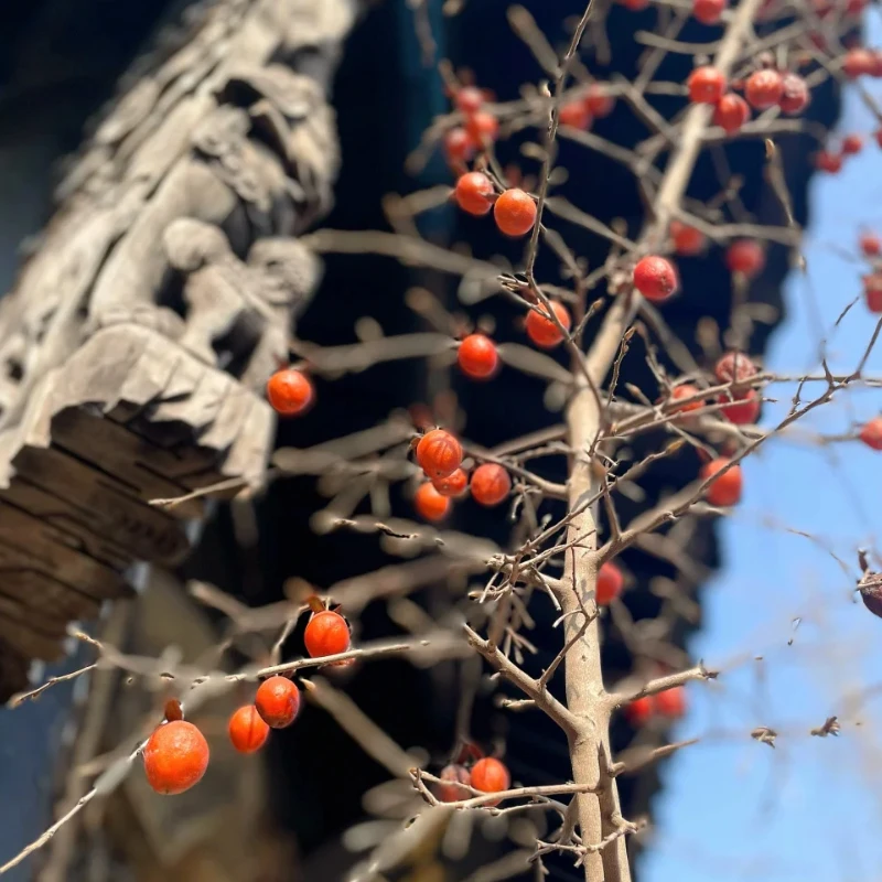 

GEPRC TAKER F745 BT 8 бит 60A стек 4IN1 ESC 512 МБ черный ящик анализ данных запись полета барометр LiPo 30,5X30,5 мм