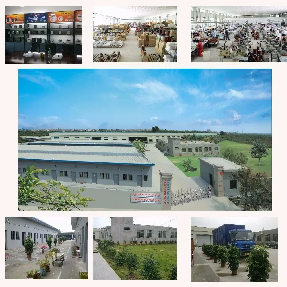 1KVA Home Power System UPS 1000W Solar Pure Sine Wave Inverter With 12V DC Battery Charger For Off-Grid Renewable Energy