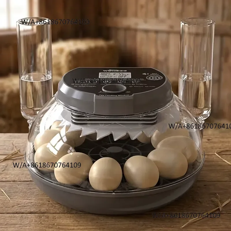 Durable WONEGG Refill Water Fully Automatic Chicken Incubation Brooding And Hatching 12 Eggs