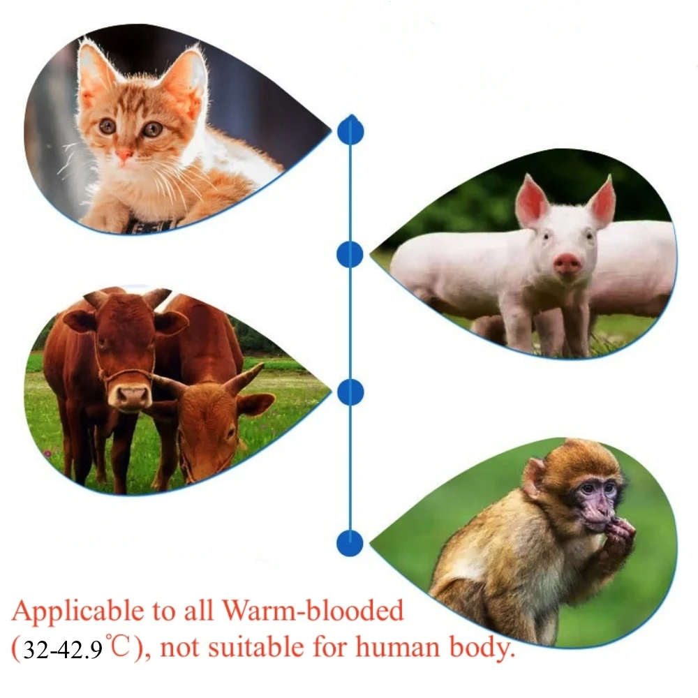 Termômetro infravermelho de ouvido para animais de estimação, Medição de animais médicos, Sem contato, Equipamento veterinário doméstico,