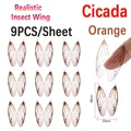 1 unidad Cicida-O