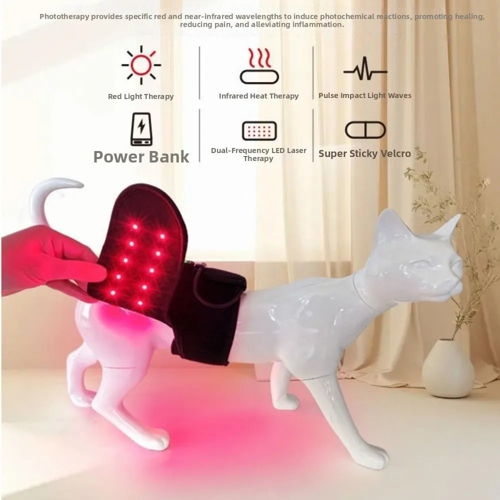 Automatic Timing Pet Red Light Recovery Device LED Light Source Promote Circulation Pet Rehabilitation Sleeve Comfortable