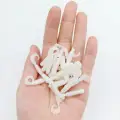 XZ014 10pcs WHITE