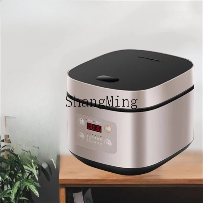 ZYY pentola da cucina con bollitore spesso per fabbro commerciale di grande capacità per hotel intelligente multifunzionale per uso domestico