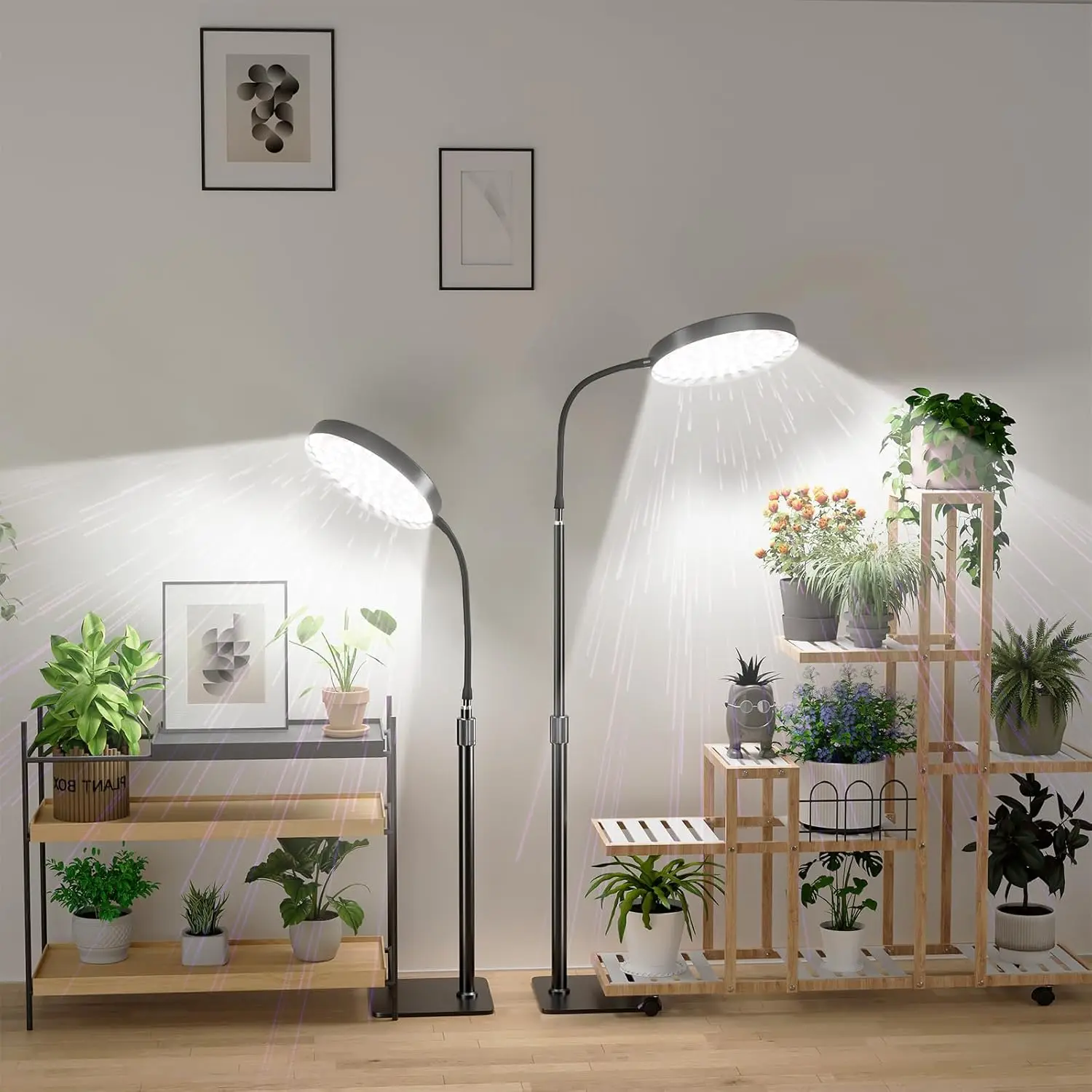 تزايد مصباح النباتات الكبيرة السيارات تشغيل/إيقاف الموقت 5 مستويات عكس الضوء قابل للتعديل ارتفاع تنمو أضواء للنباتات الطيف الكامل الطيف الطابق النبات