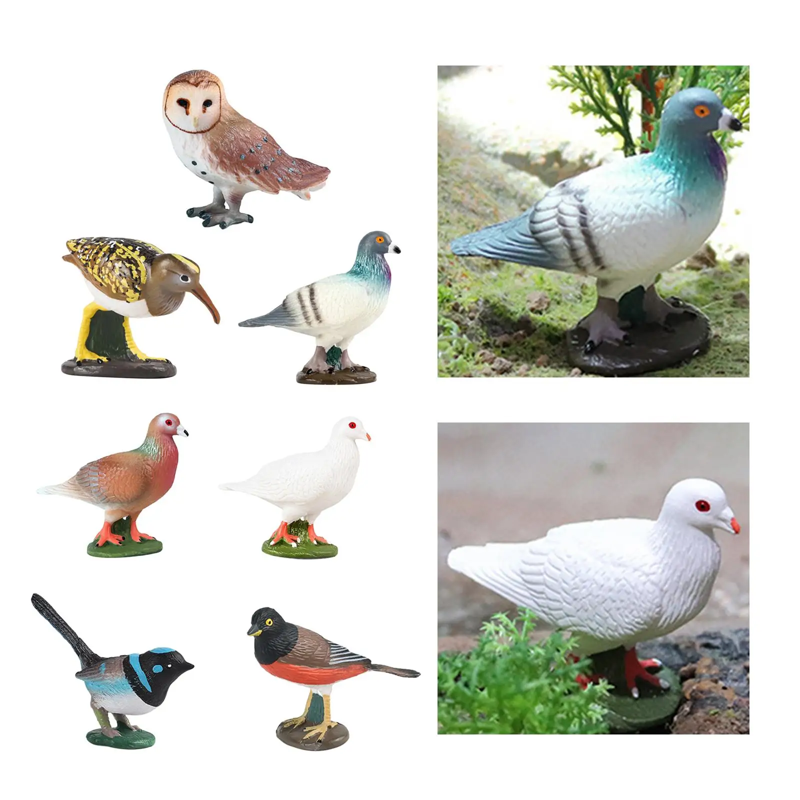 Realistic Bird Figurine Bird Statue Educational Learning Toys Decoration