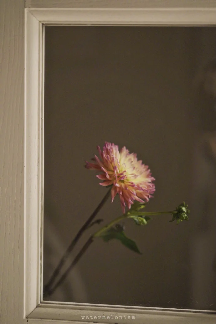 

For Honda Civic 1.0T 16-18 Manganese Steel Under Engine Guard Protection Device Engine Bonnets Engine Shield Car Accessories.