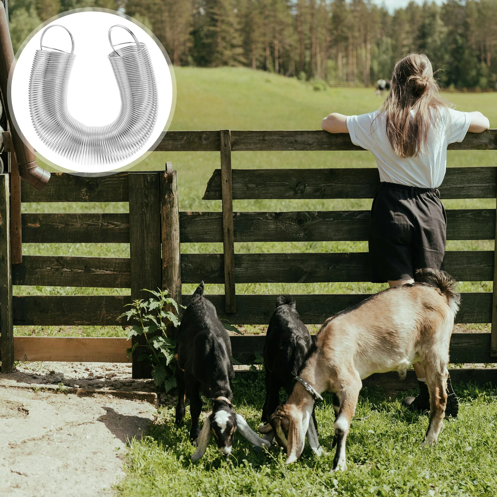 

1pc Door Handle Spring Electric Tension Extension Springs Stainless Steel for Livestock Fence Pasture Gate Security Accessory