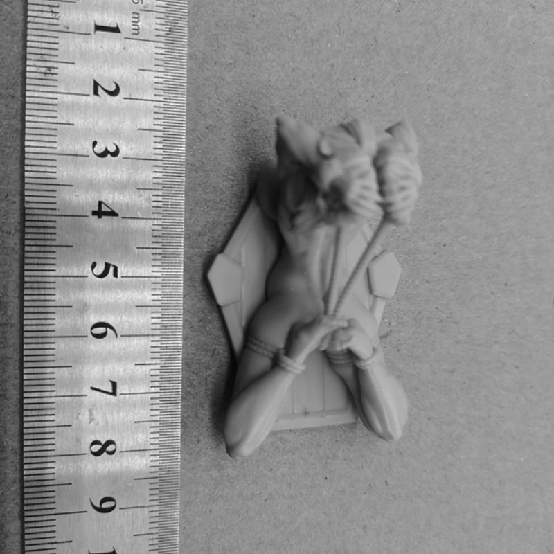 

1/24 Scale Resin Figure Bundled girl Nsfw Nsfw version Assemble Model Kit Unassembled and Unpainted 3D printing toy