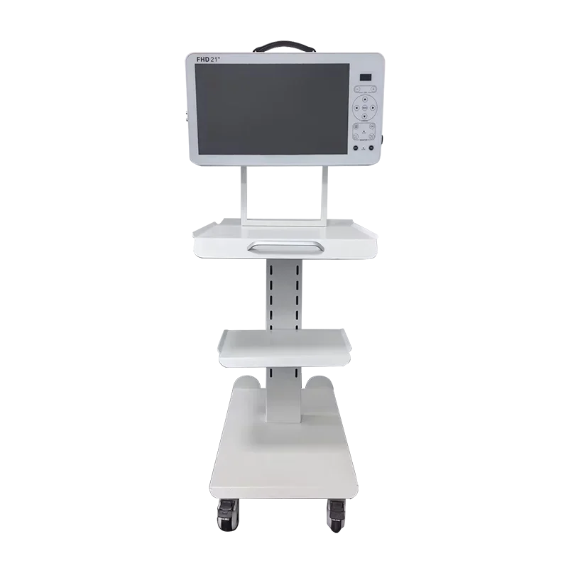 new product 21 inch portable full hd medical cameras system ent surgery camera