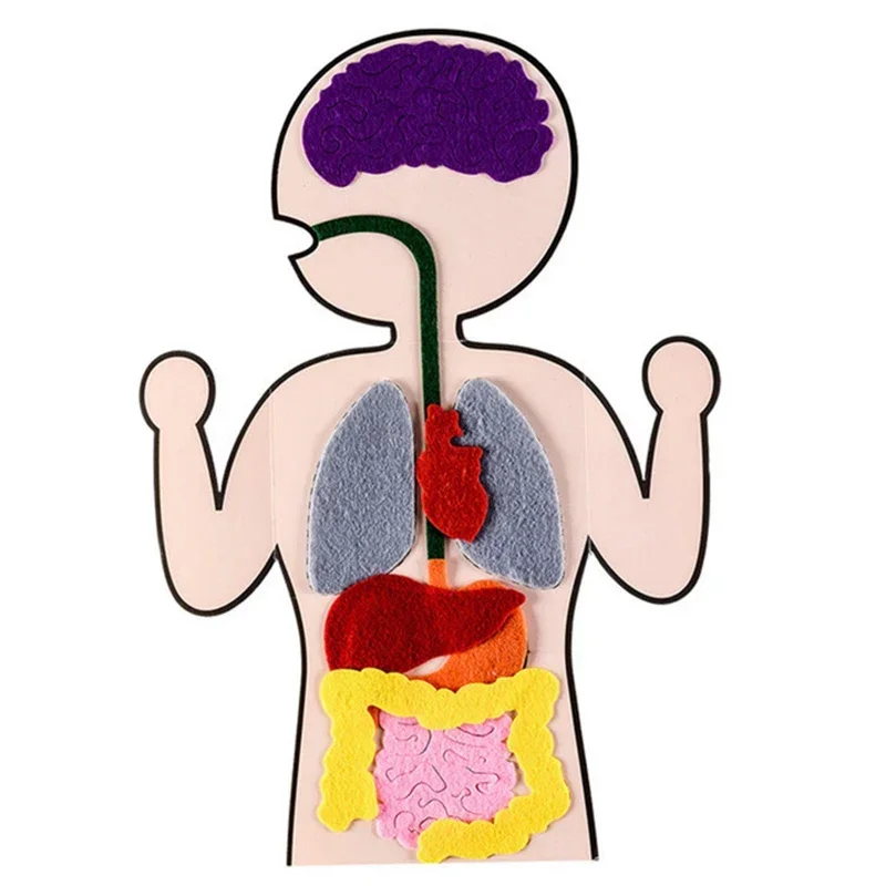 Piezas del cuerpo humano para Niños, rompecabezas artesanal de fieltro, ayuda para el aprendizaje temprano, juguetes educativos para Niños, 3, 4, 5, 6 Ans